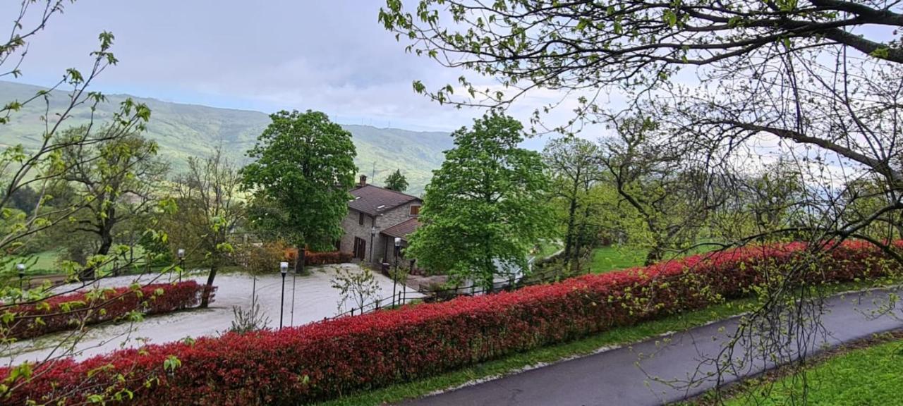 Agriturismo La Fine Villa Piancaldoli Ngoại thất bức ảnh